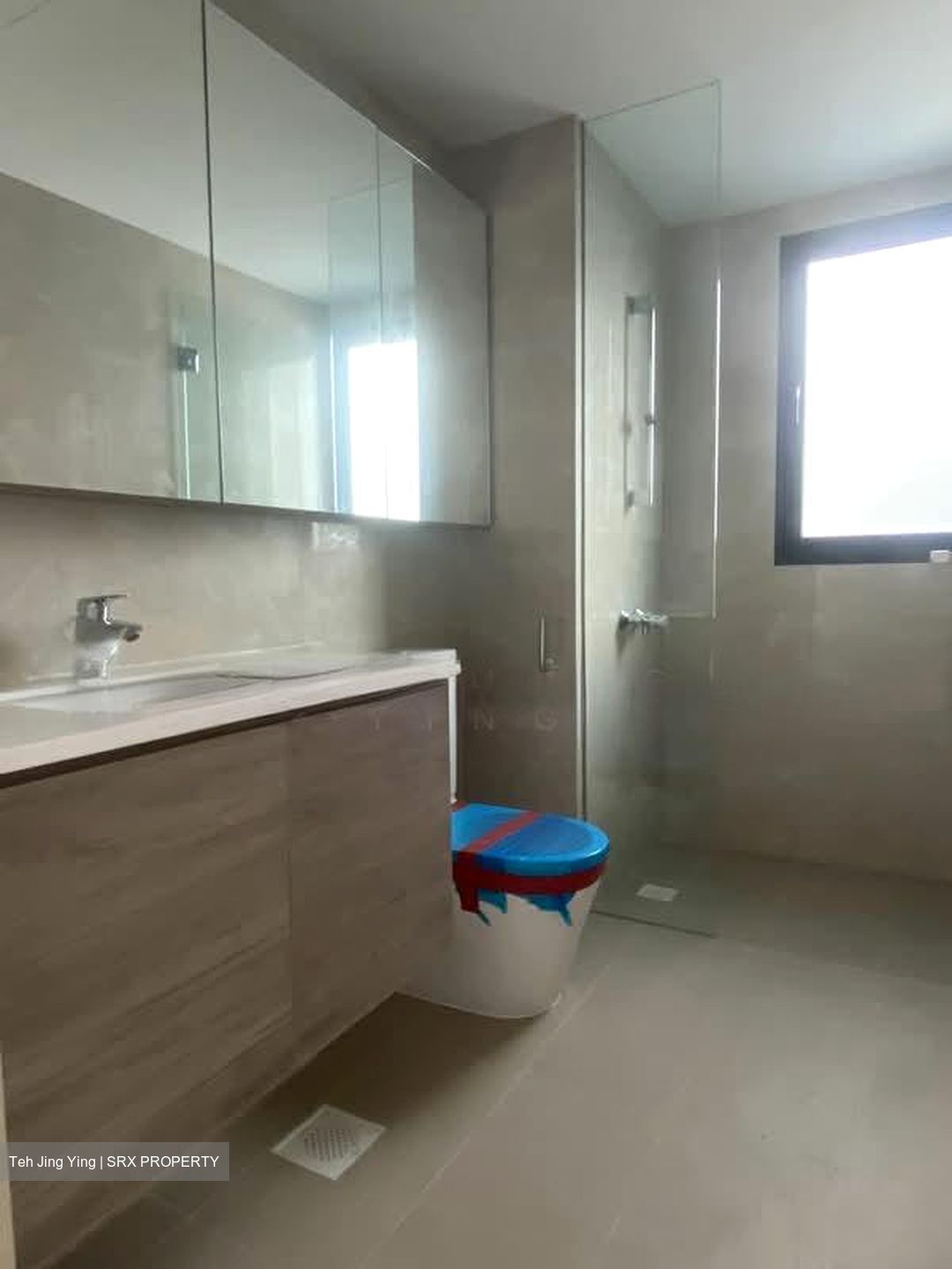 Treasure at Tampines (D18), Condominium #546560601